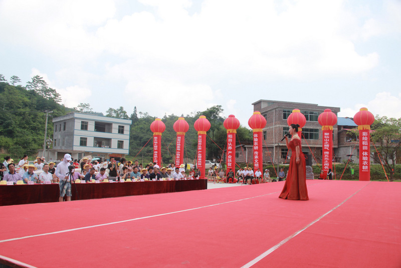 15-31-IMG_6694.JPG
