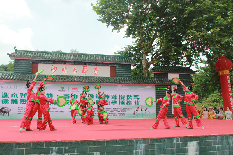 20-39-IMG_6778.JPG