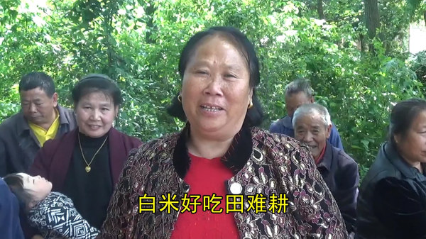曾细凤.JPG