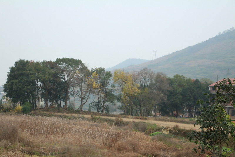 31-IMG_9428.JPG